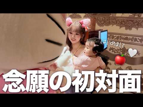 【1歳の誕生日】娘へ特別な1日をプレゼントしました🎀✨|ピューロランドvlog