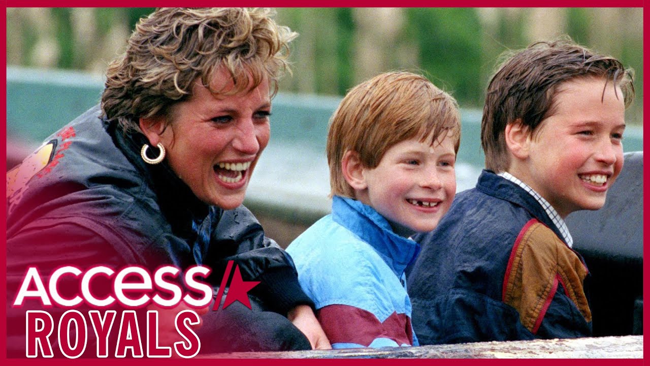 Prince Harry Reveals How Princess Diana Would Feel About Prince William Feud