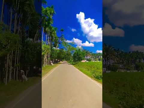 #@DyrrothVeno #nature #viralvideo #love #highlights #youtubeshorts #jaishreeram