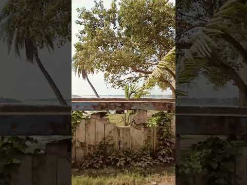 Aayega Maza#increasesusbcribers #shorts #viewskaisebadhaye #follow #foryou