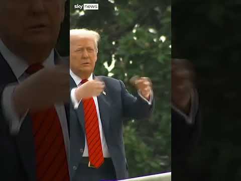 Press to Trump: 'Why are you on the roof?'
