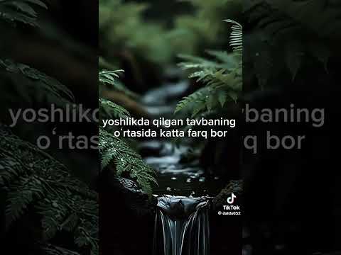 #youtube #youtubeshort