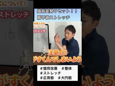 【猫背の方、必見】1分で肩甲骨と肩関節を簡単ストレッチ！！  #shorts  #猫背 #肩甲骨はがし #ストレッチ #整体  #大円筋 #広背筋