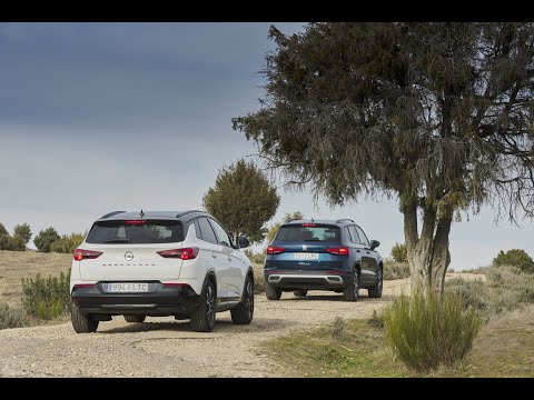 Opel Grandland VS. Seat Ateca: Se busca SUV diésel y asequible | Car and Driver España