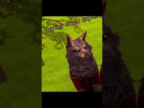 @Demios_zluna_fox @TBapb-1488 @FirePaw5483 @Табуретка_123