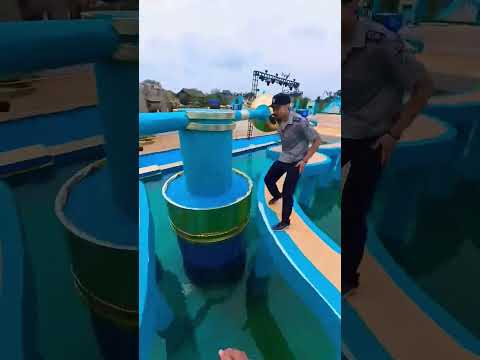 Green screen #waterpark #waterslide #sports #pov #stunt #parkour #photography #bgmilivewithpocox3pro