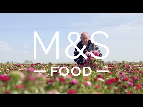 marksandspencer.com & Marks and Spencer Promo Code video: Summer Flowers | Episode 2 | Fresh Market Update | M&S FOOD