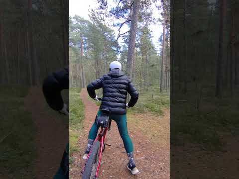 Люблю кататься на велосипеде по осеннему лесу. #ebike #cycling #mtb #электровелосипед #helmet