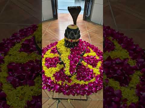 #Har Har Mahadev 🙏🏻🙏🏻🙏🏻🙏🏻🙏🏻🙏🏻🙏🏻🙏🏻🙏🏻🙏🏻🙏🏻🙏🏻🙏🏻🙏🏻