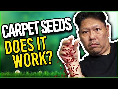 Aquarium Seeds - Does it REALLY work? In this A to your Q video, we talk a little about aquarium seeds and if they actually work or if it'