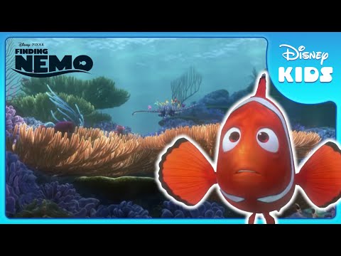 Nemo's First Day At School ? | Finding Nemo | Disney Kids