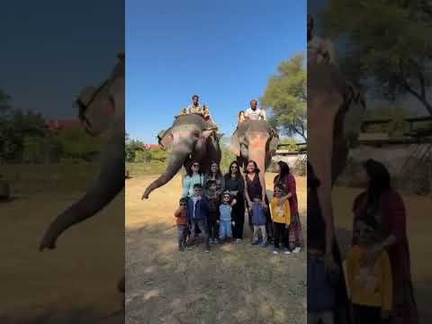 😛😛photo shoot activity with elephant fun park 🐘#elephant #tags