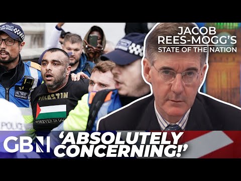 'INTIMIDATION tactic!' | Some 'protests turn people AWAY from the Palestinian cause!': Peymana Assad