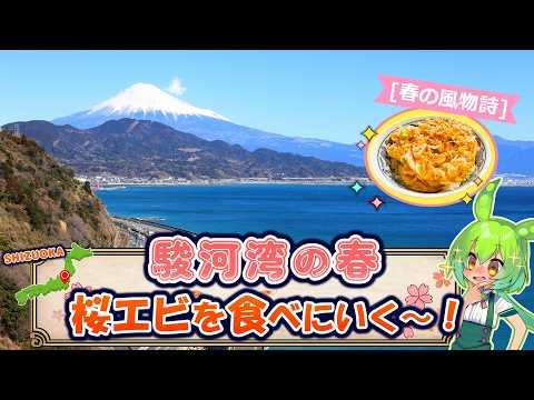 【由比の桜エビ】駿河湾の宝石を食べに由比・蒲原へ【春の風物詩】