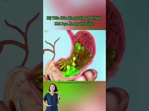 Hoạt động hệ tiêu hóa khi bạn ăn quá nhiều #ngoctrucpharma #tieuhoa