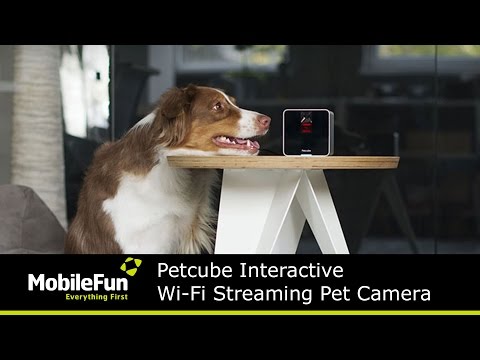 Petcube Interactive Wi-Fi Streaming Pet Camera - UCS9OE6KeXQ54nSMqhRx0_EQ