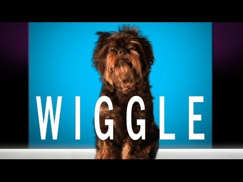 Jason Derulo - "Wiggle" feat. Snoop Dogg (Cute Dog Version) - UCPIvT-zcQl2H0vabdXJGcpg