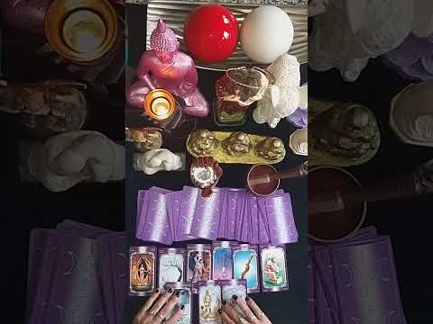 #558. TEL: +54 9 11 5056-0531. MAIL: tarotelmundoelsolylaestrella@hotmail.com