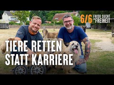 Tiere retten statt Kariere | Friso sucht die Freiheit | Preview Folge 6/6 | S01E06