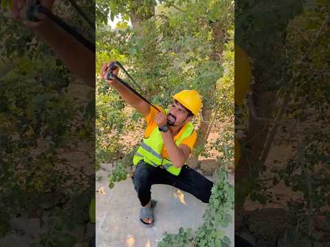 Bache NY bird ko kesy bachaya #shorts