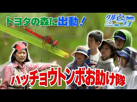 シリーズ【人と自然のミライ】ハッチョウトンボお助け隊出動！【クルマとミライ】