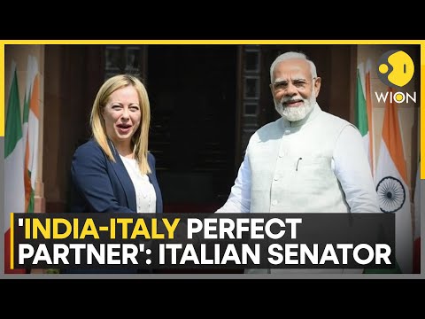Italian Senator Gelmetti Says India Is Italy's 'Perfect Partner' | Meloni | India Italy News | WION