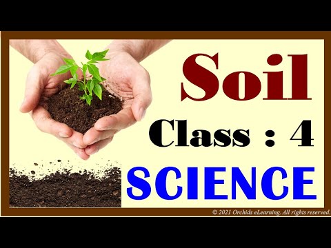 Soil | Class : 4 Science | CBSE / NCERT | CBSE Syllabus | Types Of Soil | Layers Of Soil |