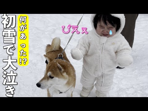 初めての雪に大号泣した１歳児！柴犬がそっと寄り添う姿が尊い