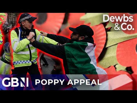Are YOU nervous to wear a Poppy? | 'INTIMIDATING' Palestine protests undermining appeal