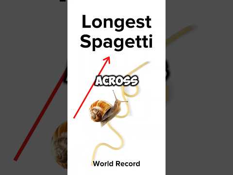 Snail 🐌 vs. Blackbird 🚀—Who Wins?