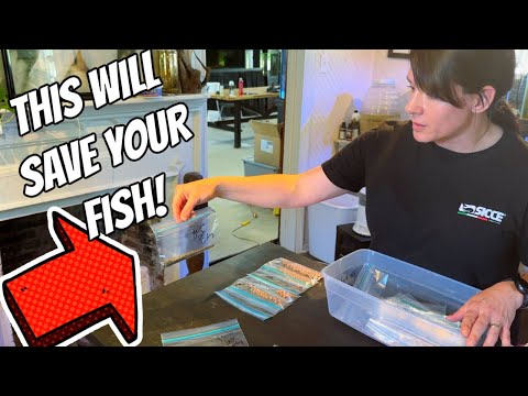 Being Prepared Is Key To Animal Survival Vlog #3/3 We're leaving town for 5 days to attend Aquashella in Dallas Texas. With a fish room like ours it ta