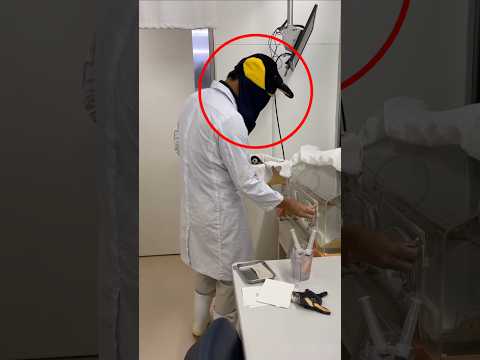 Feeding baby penguins #shorts