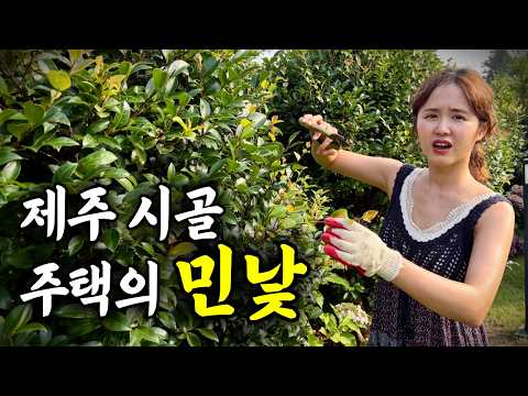 서울 떠나 섬마을에 정착한 30대 여자의 혹독한 현실