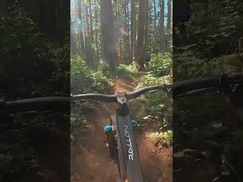 We DISSECTED the new Orbea Rallon! Full video out now 🤘