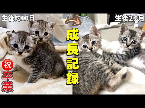 生後10日→2ヶ月…その成長に涙が止まらない【成長記録】