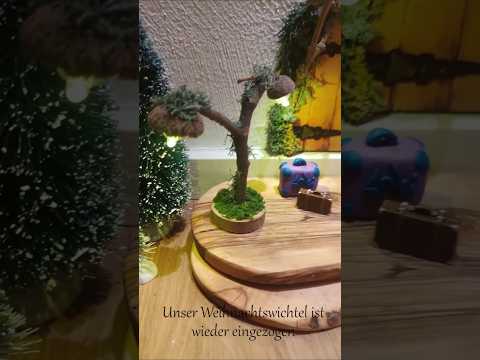 Unser Weihnachtswichtel ist wieder da