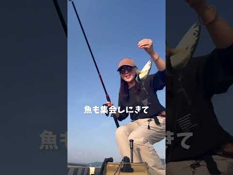【ダイソー】コスパ神すぎて怖い釣具。#shorts