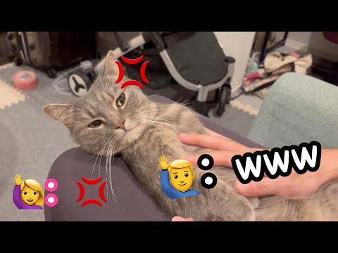 ママと猫からの怒りを受けた癒しのひととき サムネイル