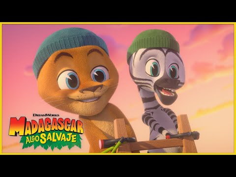 ¿La peor temporada de Gloria?! 🥶🦛 | DreamWorks Madagascar en Español Latino