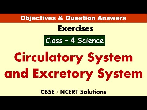 Circulatory System and Excretory System | Class : 4 Science | Exercises | CBSE-Solutions