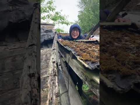 Person Falls Through Rotten Wooden Roof