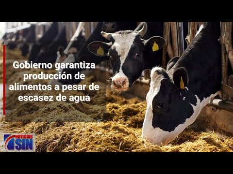 A pesar de escasez de agua, garantiza producción de alimentos