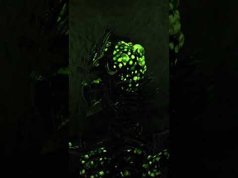 Path of Exile: Curse of the Allflame - They Rise Again
