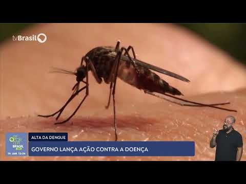 Governo lança ação contra alta da dengue