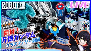 【ロボット魂】万博ガンダム グラスフェザー装備 開封！【機動戦士ガンダム GUNDAM NEXT FUTURE PAVILION】EXPO2
