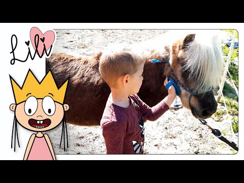 Bas verzorgt de paarden | Hoe een Pony Borstelen? | Lili & KIDS Vlog #3