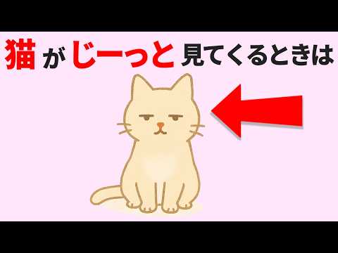 猫の動画サムネイル - 【保存版】猫のクセ強行動15連発！猫好きがそそられる猫の雑学と仕草 #猫 #雑学 #豆知識 #トリビア