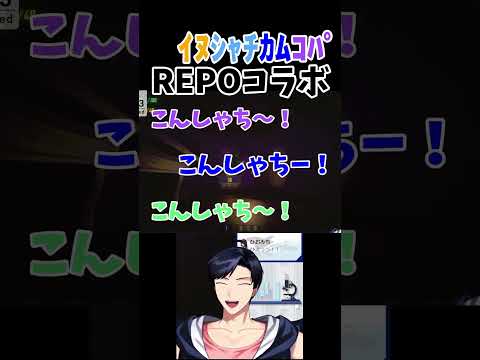 thumbnail_cvyK-n6EStY