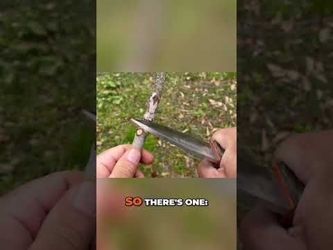 Simple V Notch Woodworking: Easy Knife Technique Explained