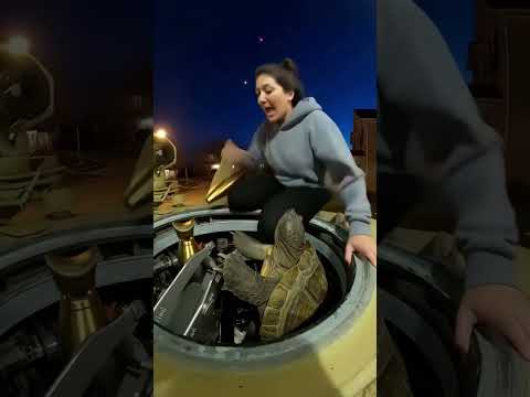 Last Sheldon adventure for today #funny #ai #ytshorts #shorts